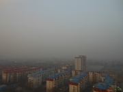 2013����¼